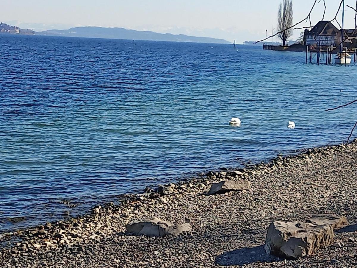 Fewo Mit Tollem Ausblick Auf Der Schwaebischen Alb. Wehingen Εξωτερικό φωτογραφία